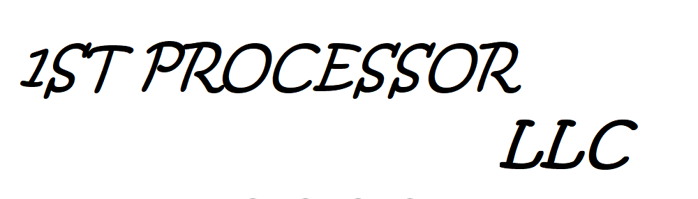 1st Processor